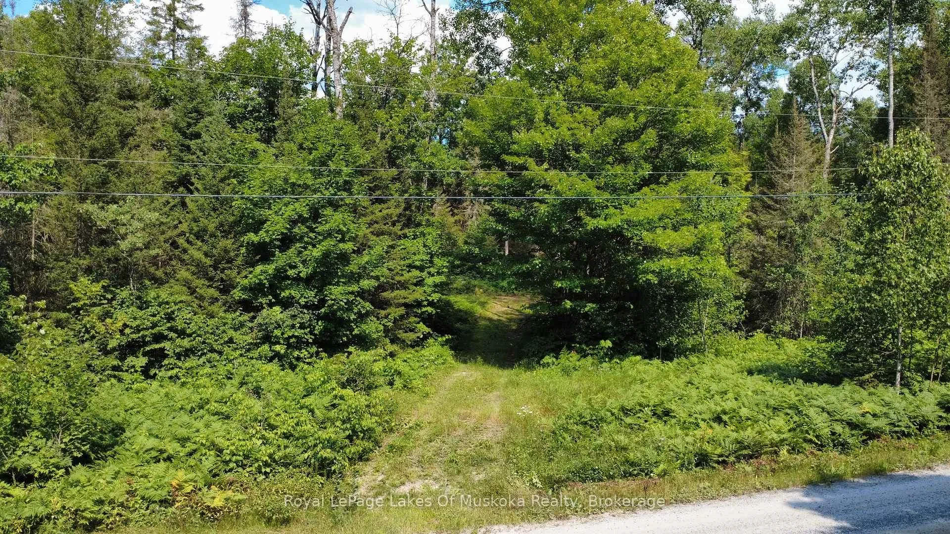 Photo 25 of Forest Lake Road, Joly — HOMEH