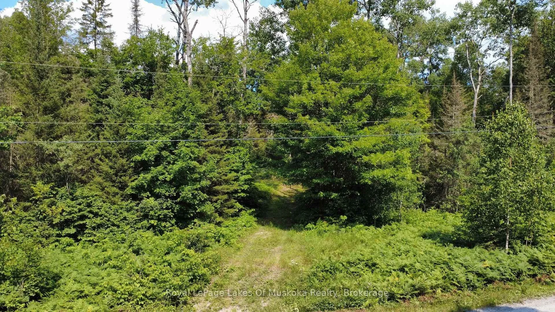 Photo 26 of Forest Lake Road, Joly — HOMEH