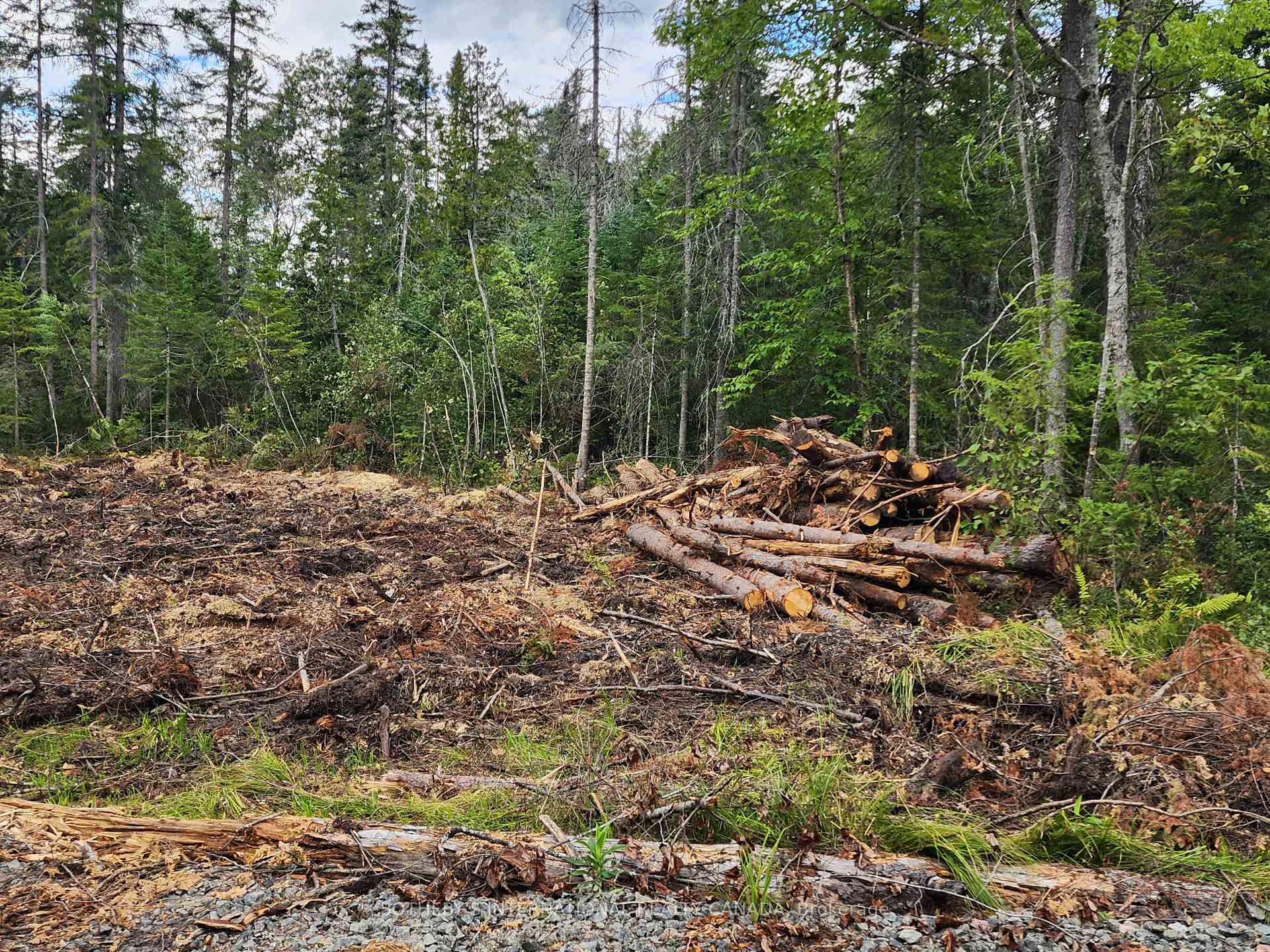 Photo 2 of 1022 Thompson Road, Bracebridge, Oakley — HOMEH