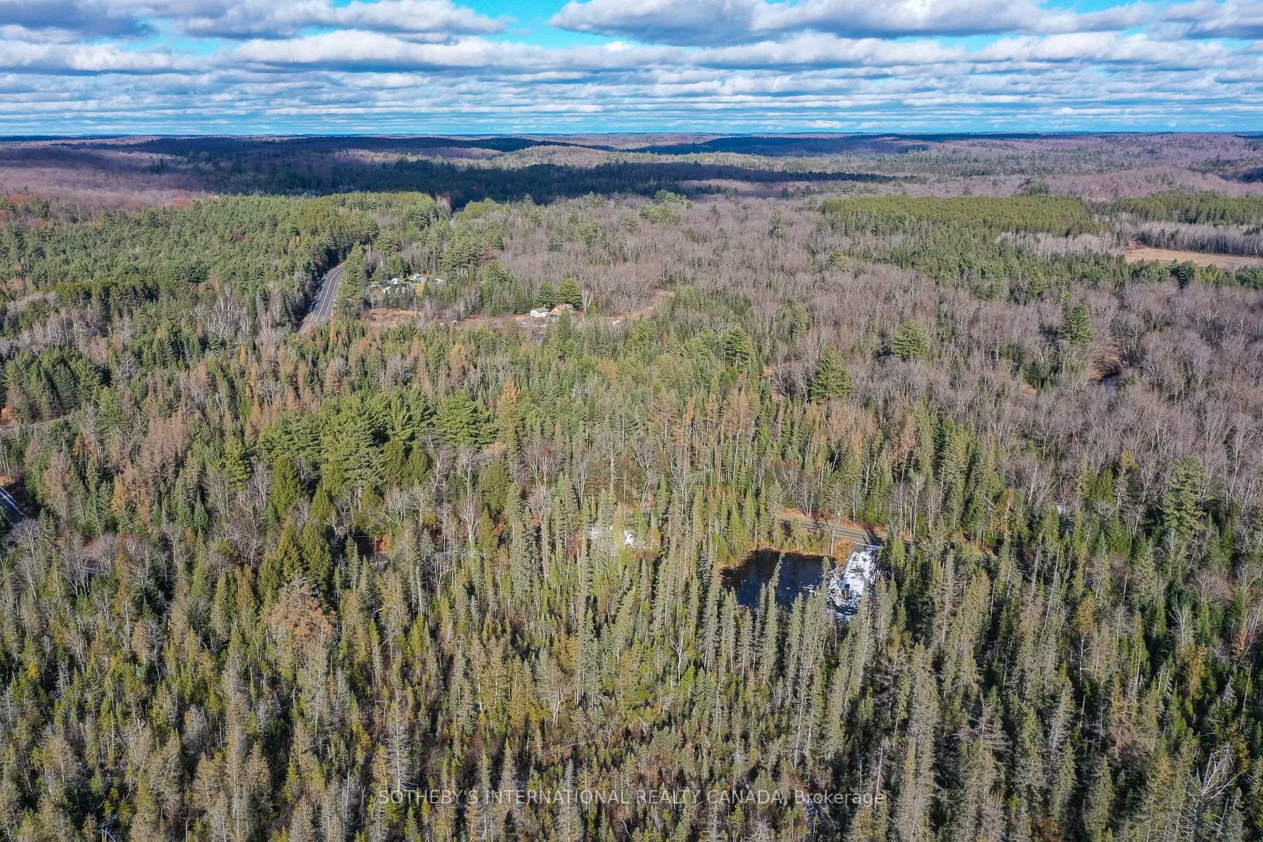 Photo 4 of 1022 Thompson Road, Bracebridge, Oakley — HOMEH