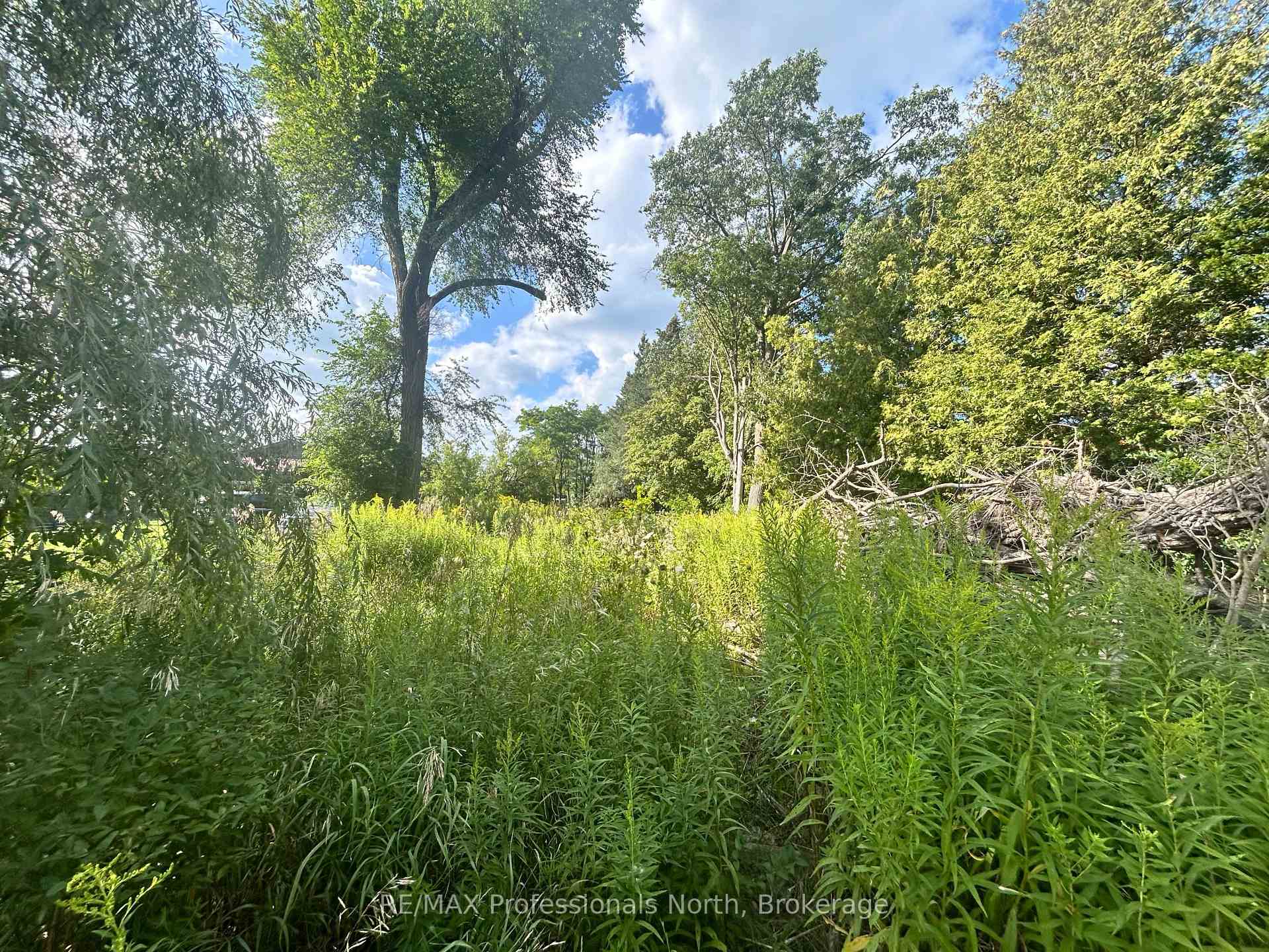 Photo 2 of 4437 Highway 7, Kawartha Lakes, Omemee — HOMEH