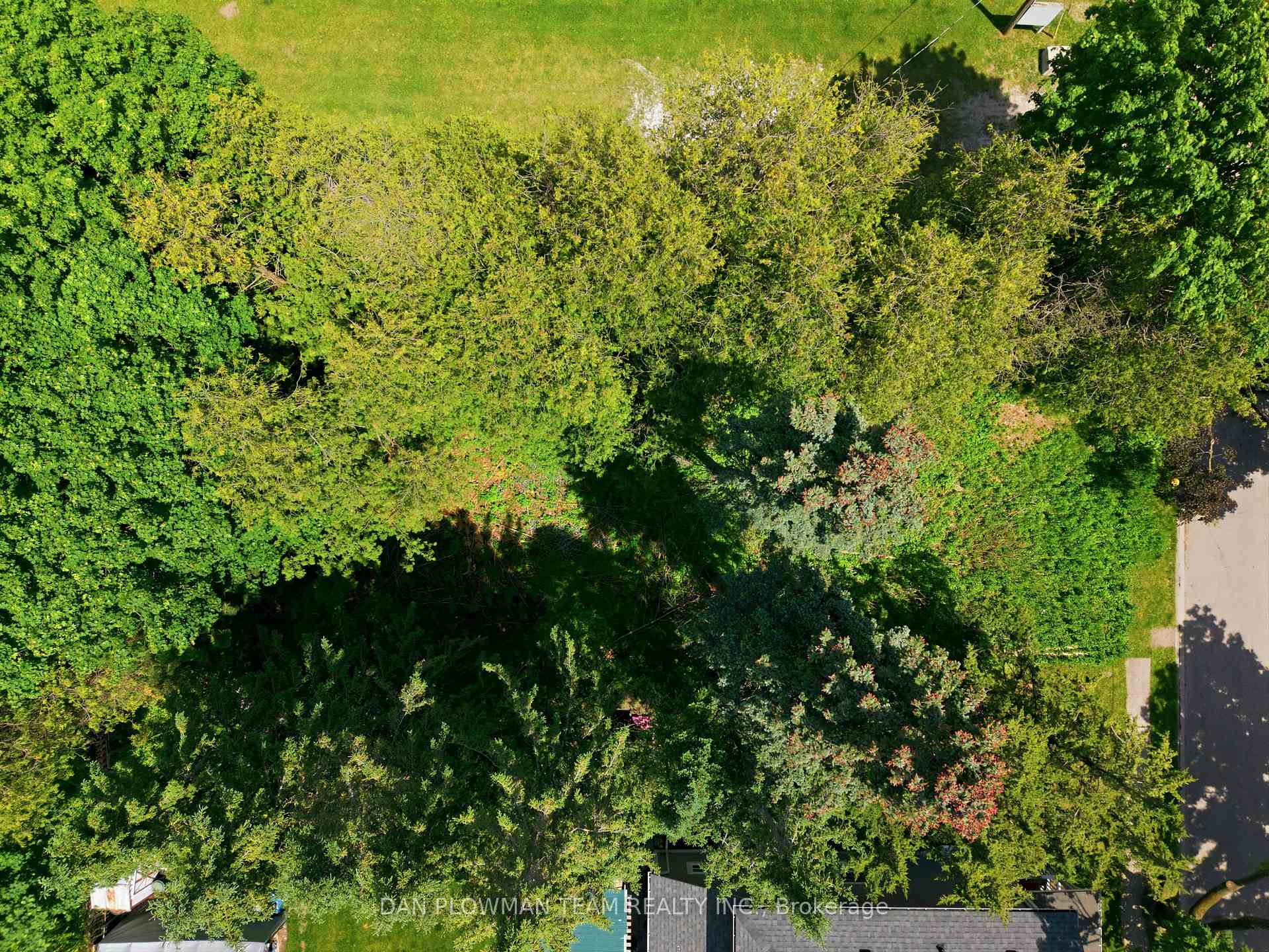 Photo 7 of 38 Park Street, Clarington, Orono — HOMEH