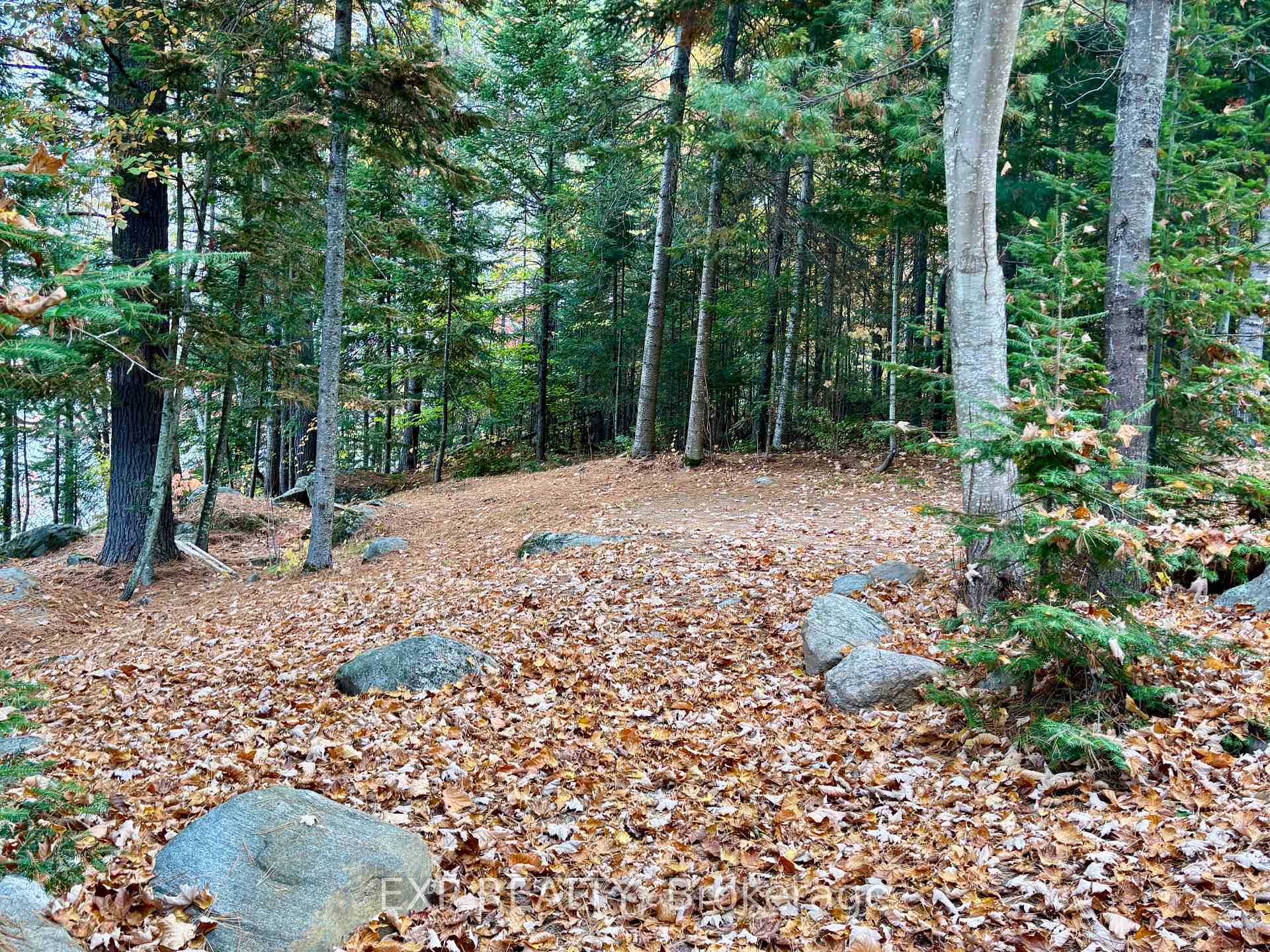 Photo 6 of 134 Carson Heights Road, Madawaska Valley, Madawaska Valley — HOMEH