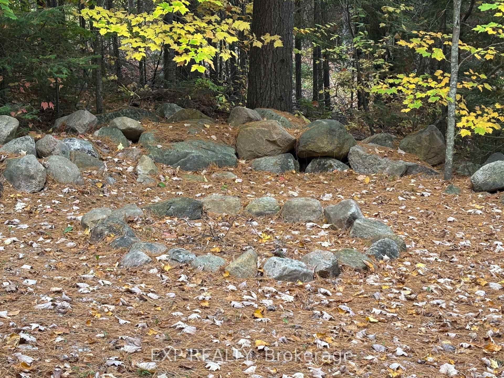 Photo 10 of 134 Carson Heights Road, Madawaska Valley, Madawaska Valley — HOMEH