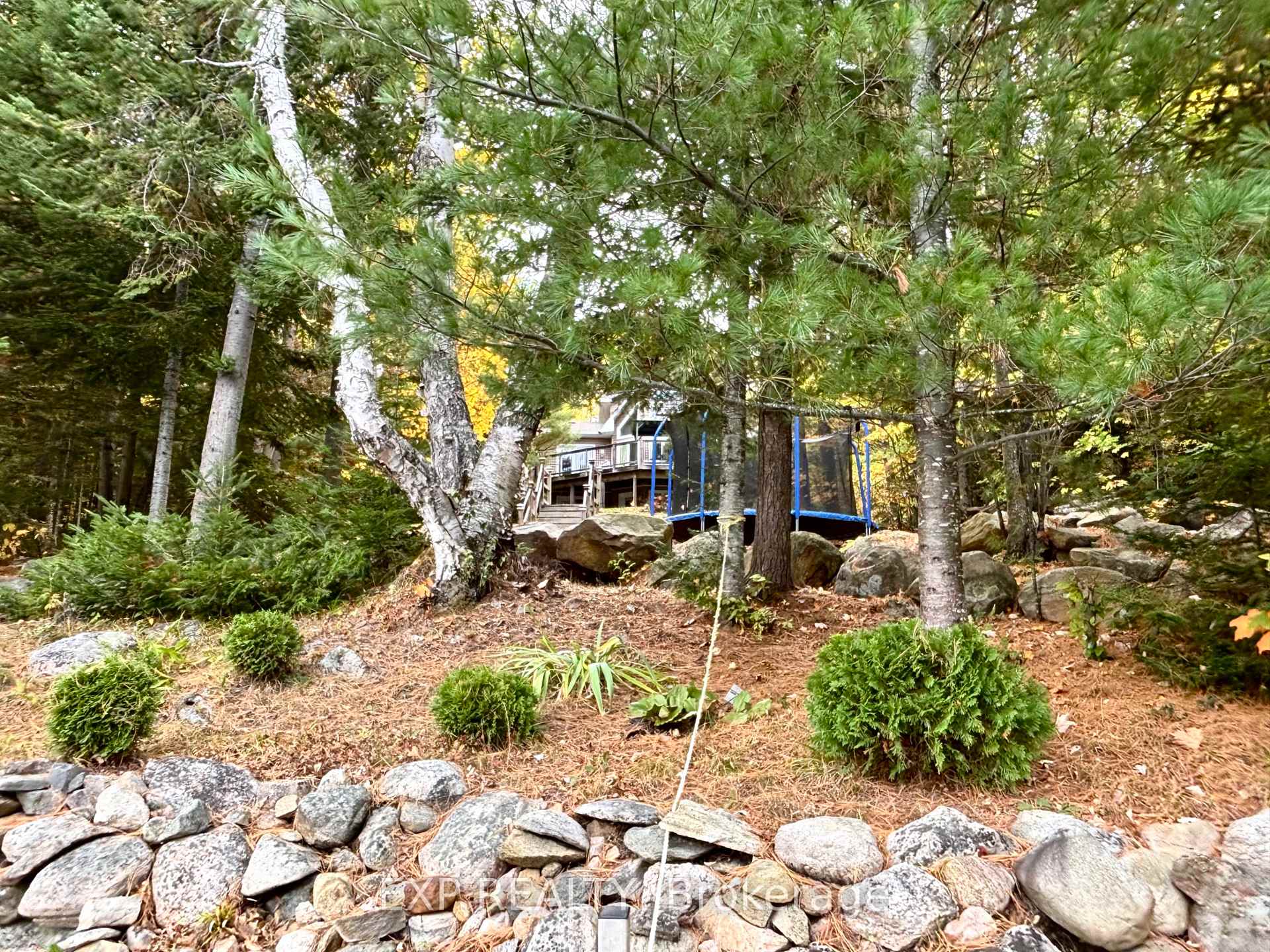 Photo 13 of 134 Carson Heights Road, Madawaska Valley, Madawaska Valley — HOMEH