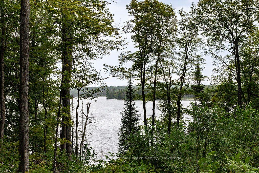 Photo 7 of Unit F, 790 Garage Road, Armour — HOMEH