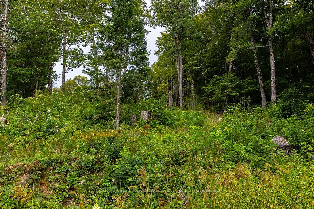 Photo 16 of Unit F, 790 Garage Road, Armour — HOMEH