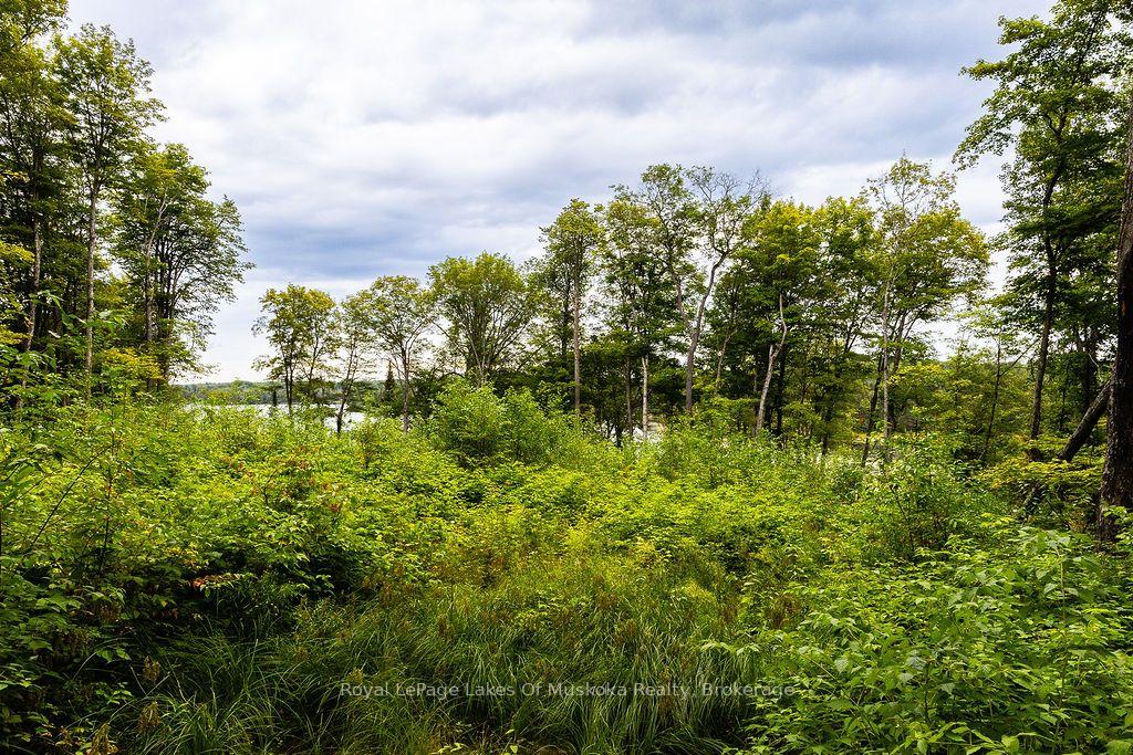 Photo 17 of Unit F, 790 Garage Road, Armour — HOMEH