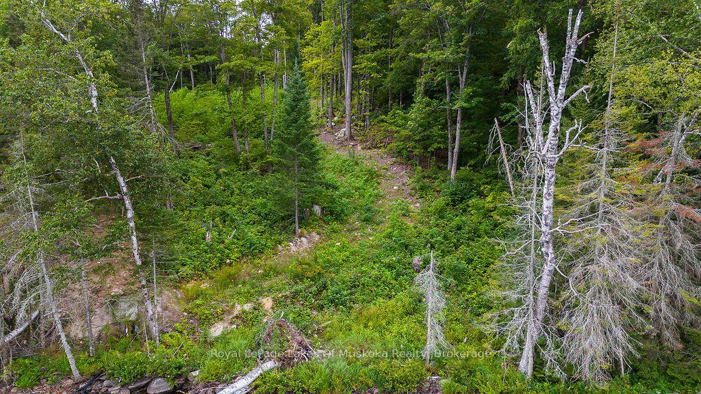 Photo 24 of Unit F, 790 Garage Road, Armour — HOMEH
