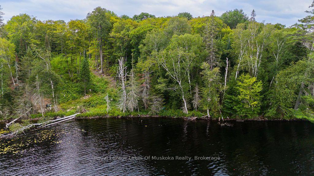 Photo 28 of Unit F, 790 Garage Road, Armour — HOMEH