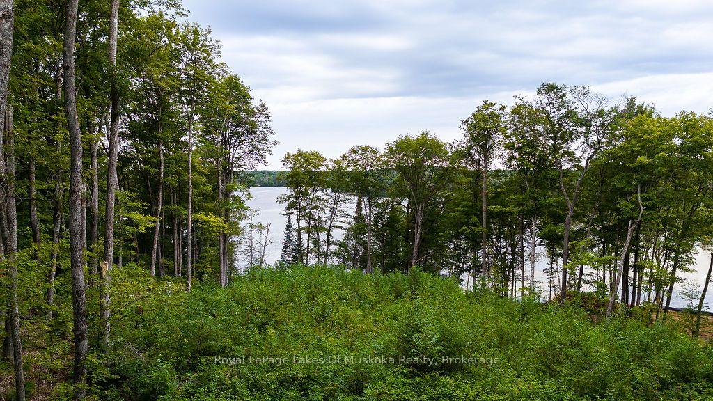 Photo 27 of Unit F, 790 Garage Road, Armour — HOMEH