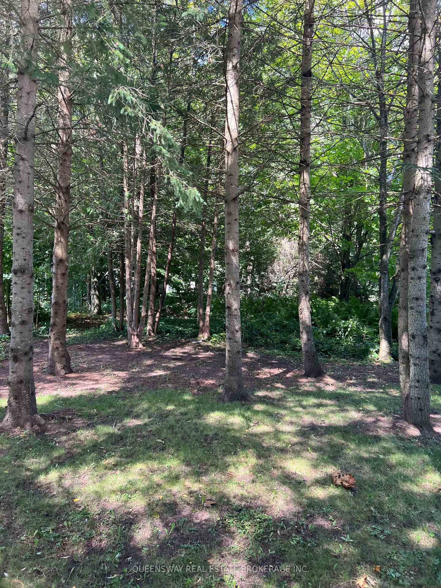 Photo 3 of 10 Mill Street W, Springwater, Hillsdale — HOMEH