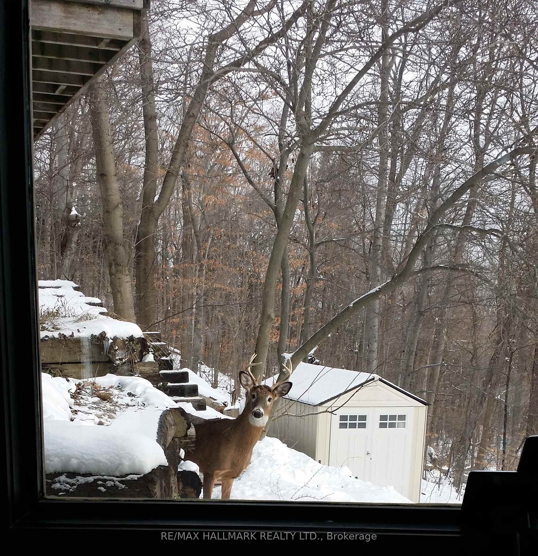 Photo 35 of 2 Ledge Road, Scarborough, Cliffcrest — HOMEH