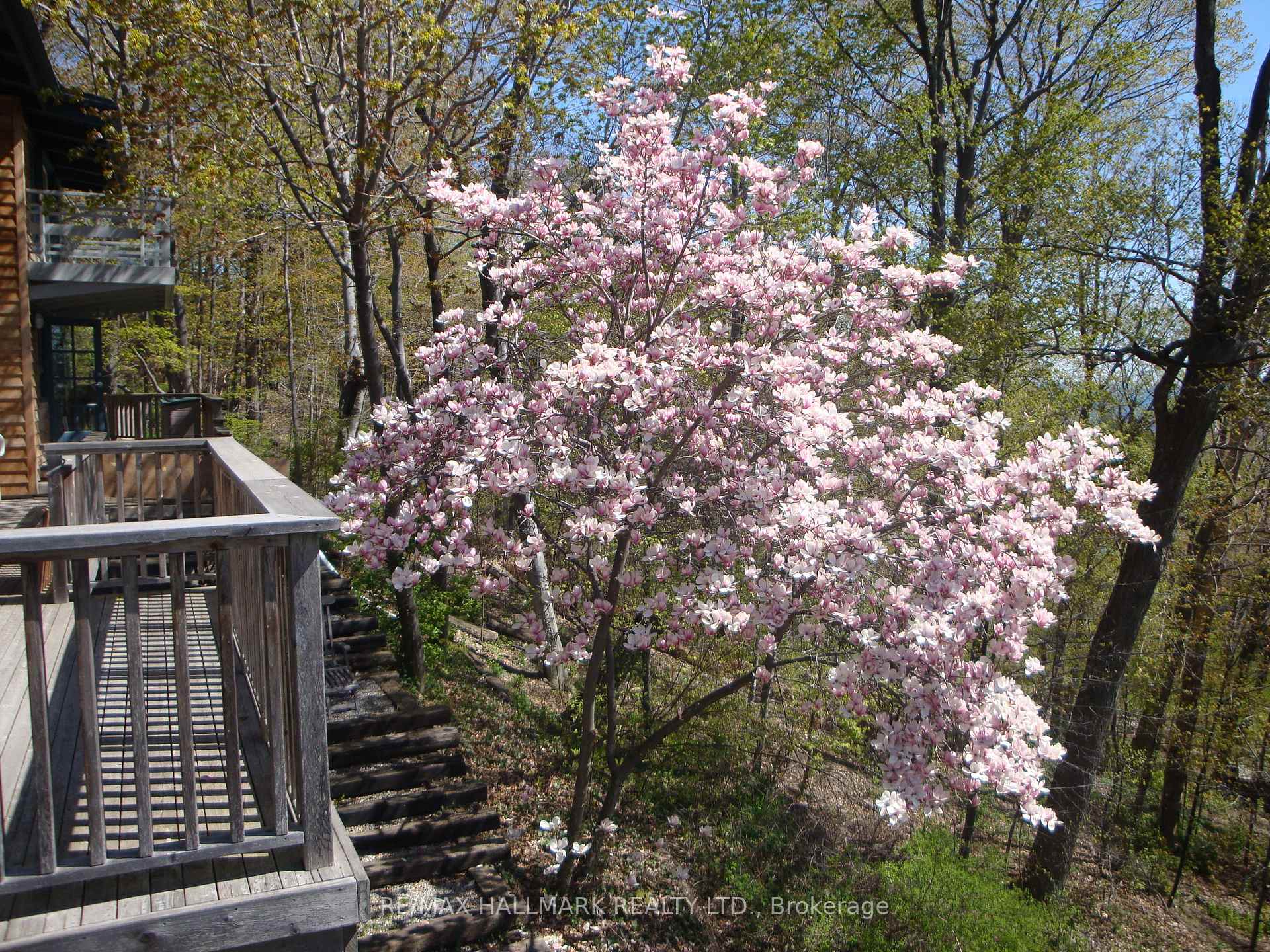 Photo 40 of 2 Ledge Road, Scarborough, Cliffcrest — HOMEH