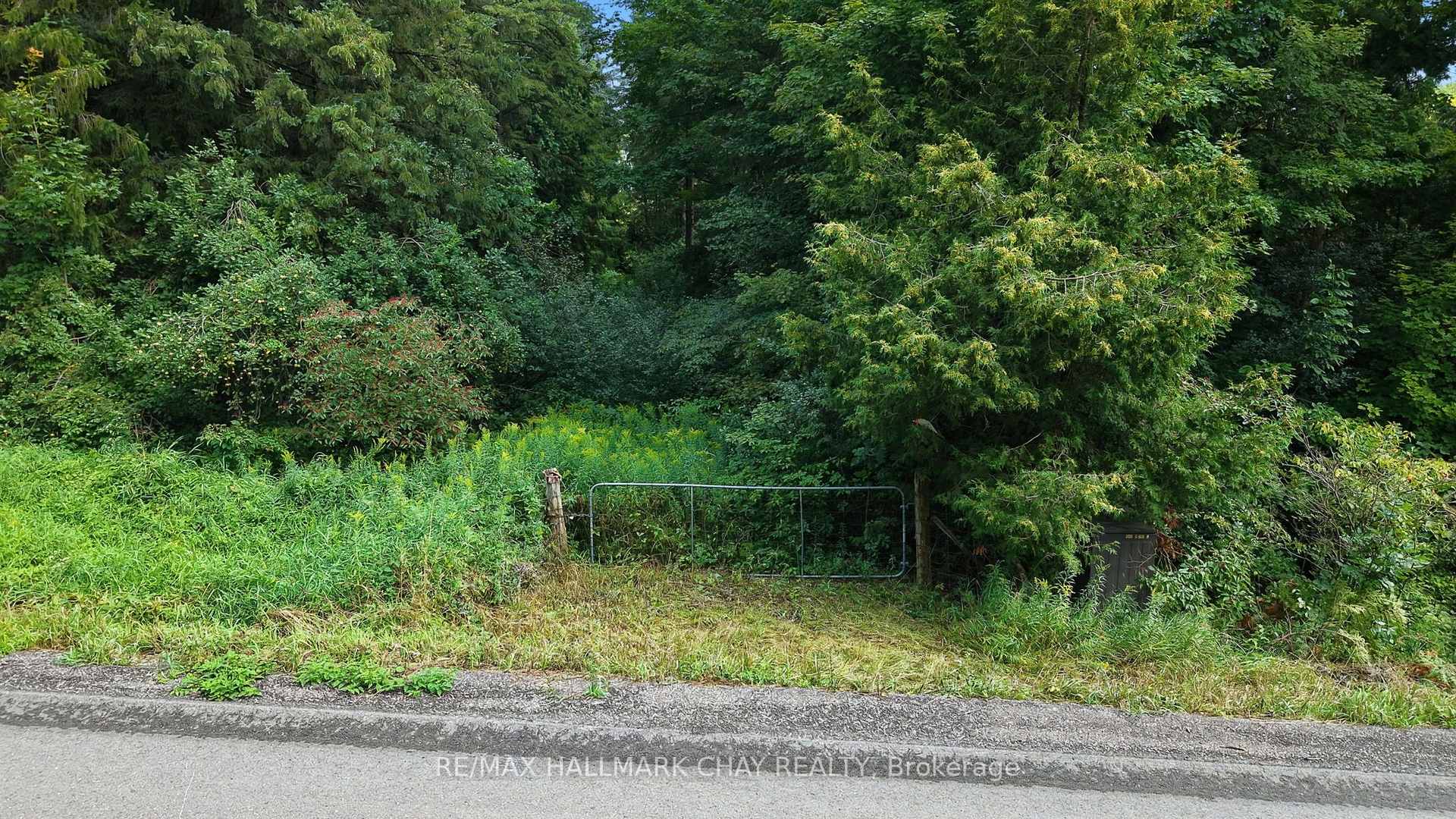 Photo 26 of 1347 Old Second Road N, Springwater, Hillsdale — HOMEH