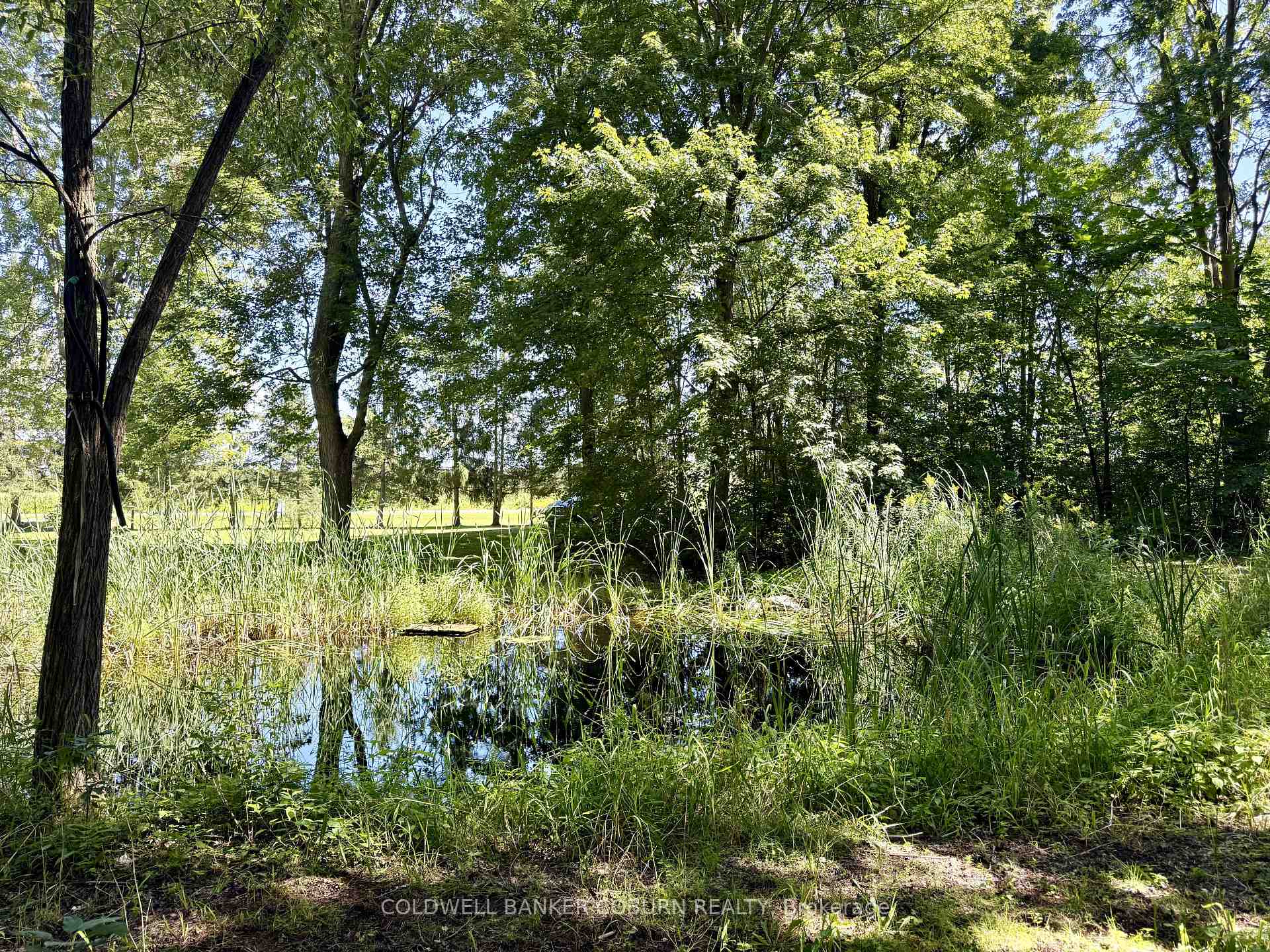 Photo 39 of 4808 Flagg Road, South Dundas, South Dundas (Matilda) Twp — HOMEH
