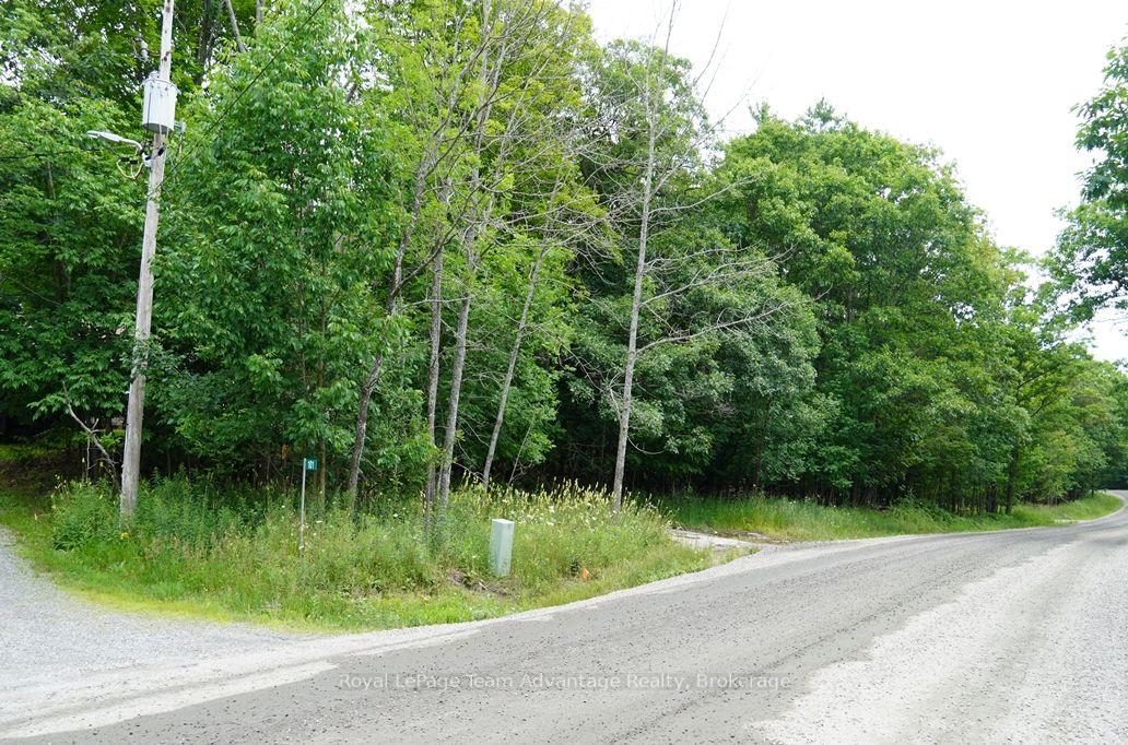 Photo 30 of 101 Carling Bay Road E, Carling — HOMEH