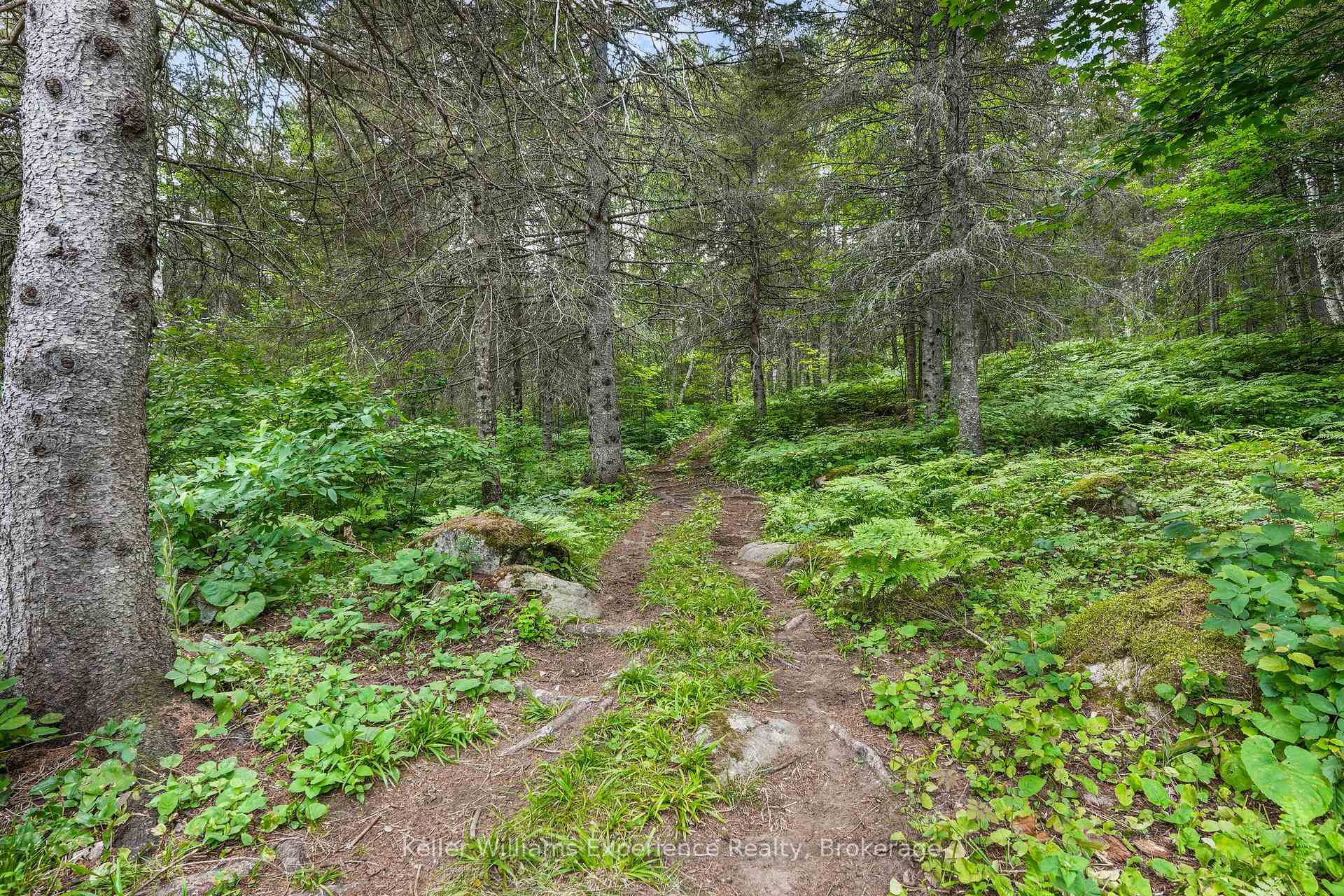 Photo 20 of 9000 Galeairy Lake, South Algonquin — HOMEH