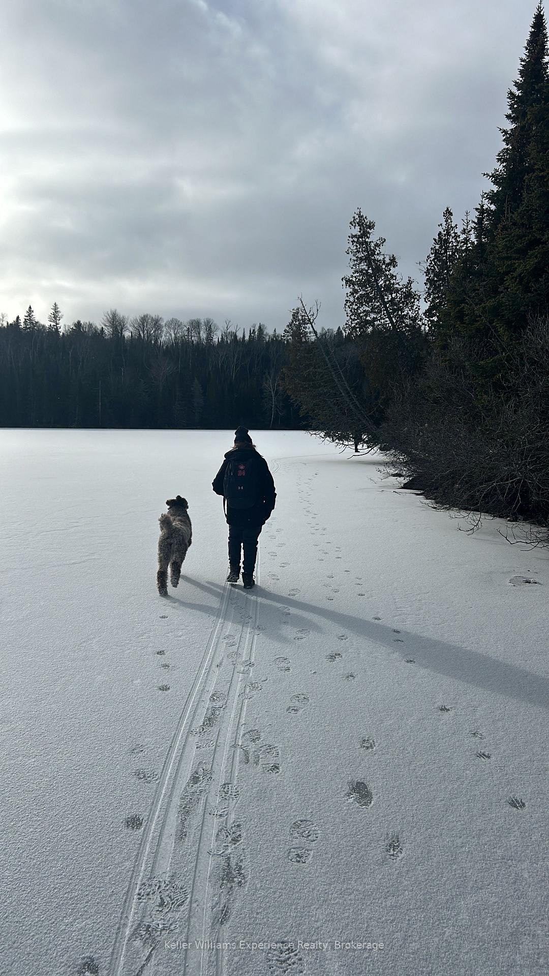 Photo 25 of 9000 Galeairy Lake, South Algonquin — HOMEH