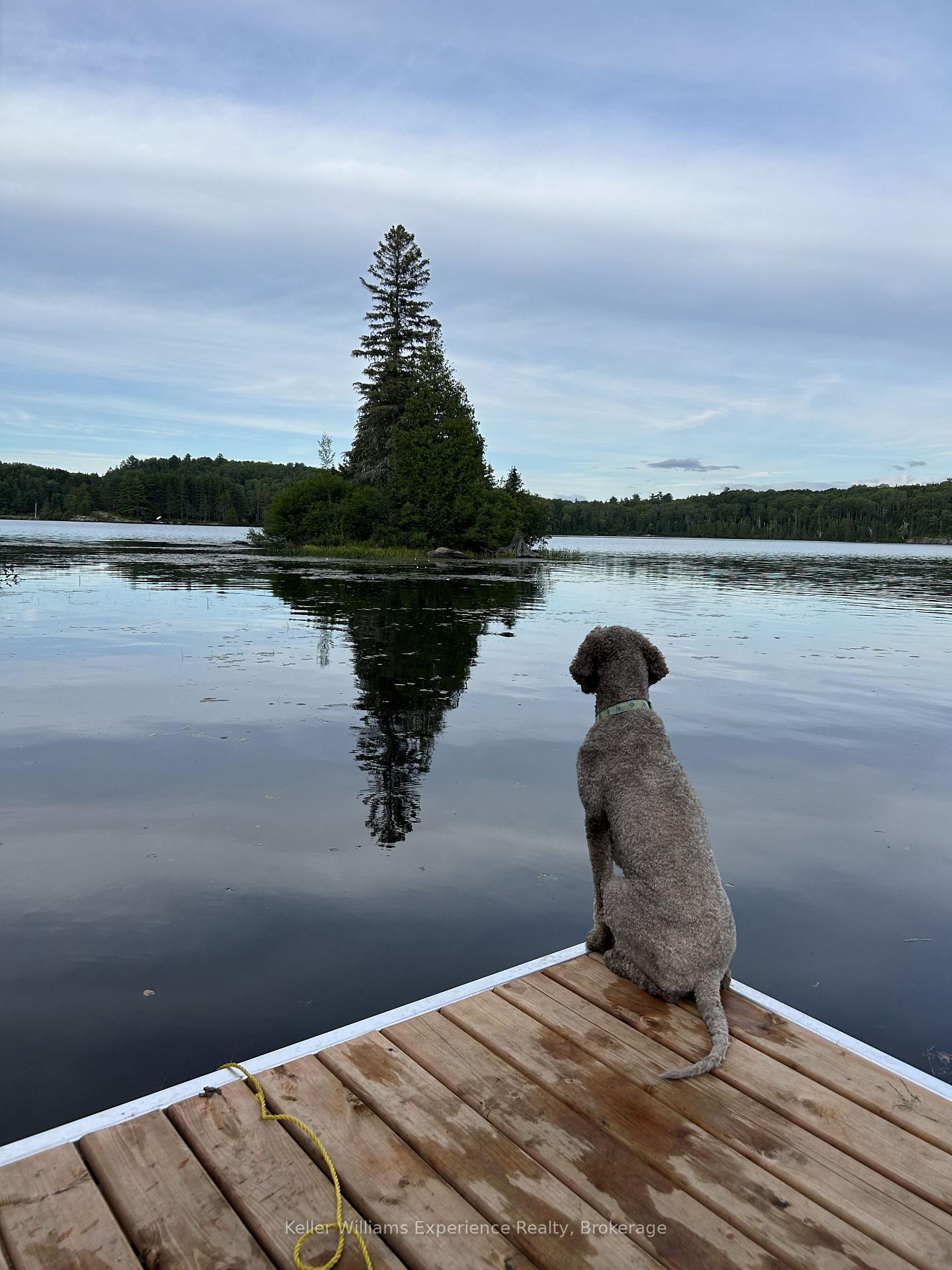 Photo 26 of 9000 Galeairy Lake, South Algonquin — HOMEH