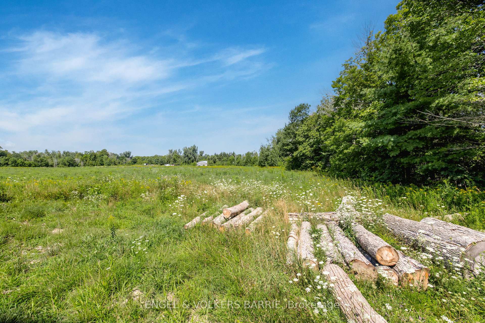 Photo 6 of Lot 1 2332 Rumney Road, Tay, Rural Tay — HOMEH
