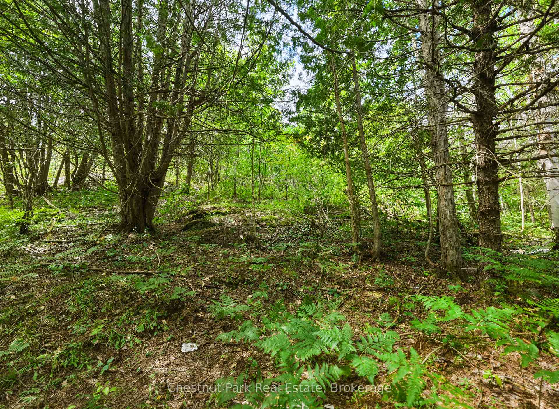 Photo 13 of 106 Golf Course Road, Magnetawan — HOMEH