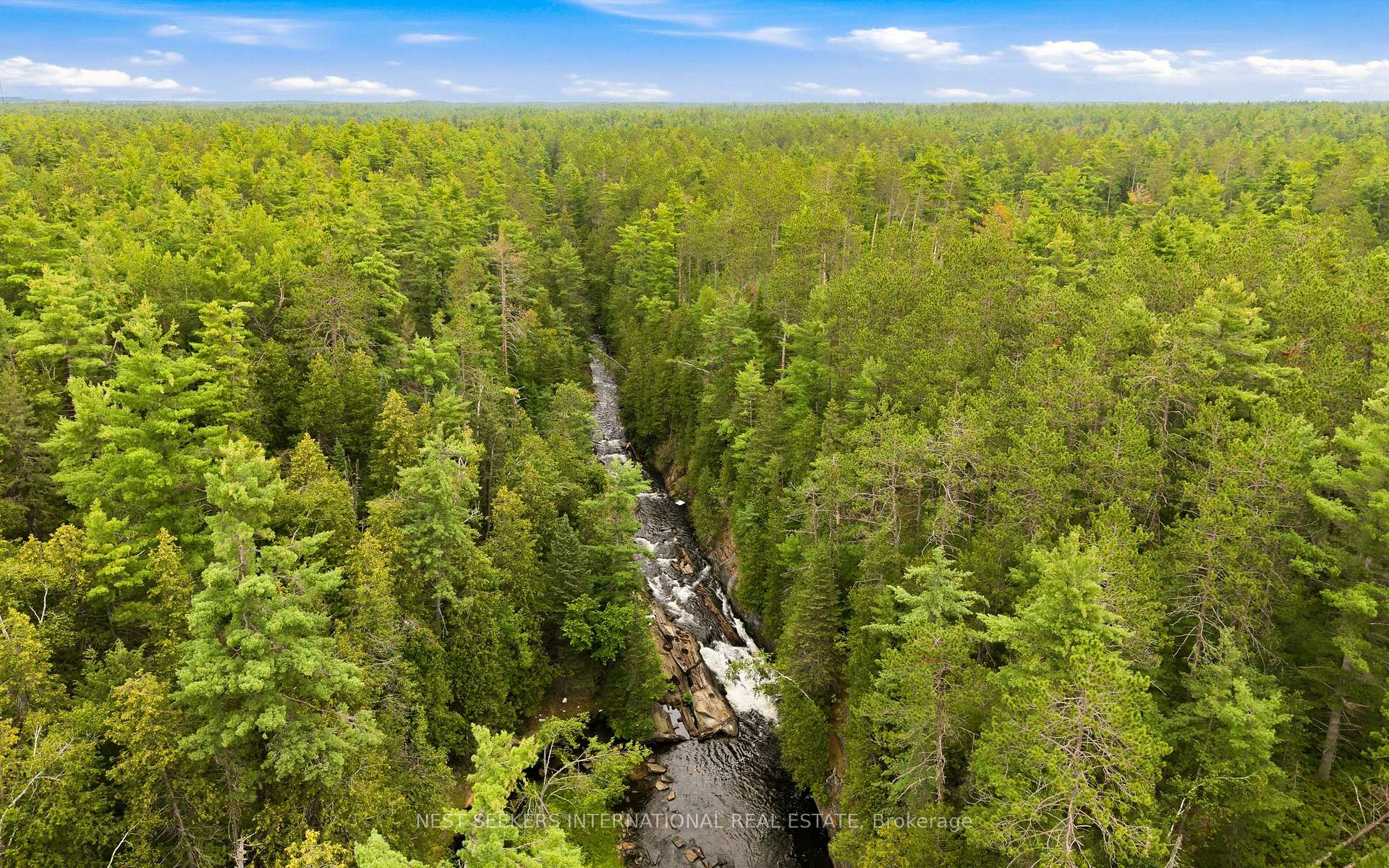 Photo 3 of 7953 Highway 28, North Kawartha — HOMEH