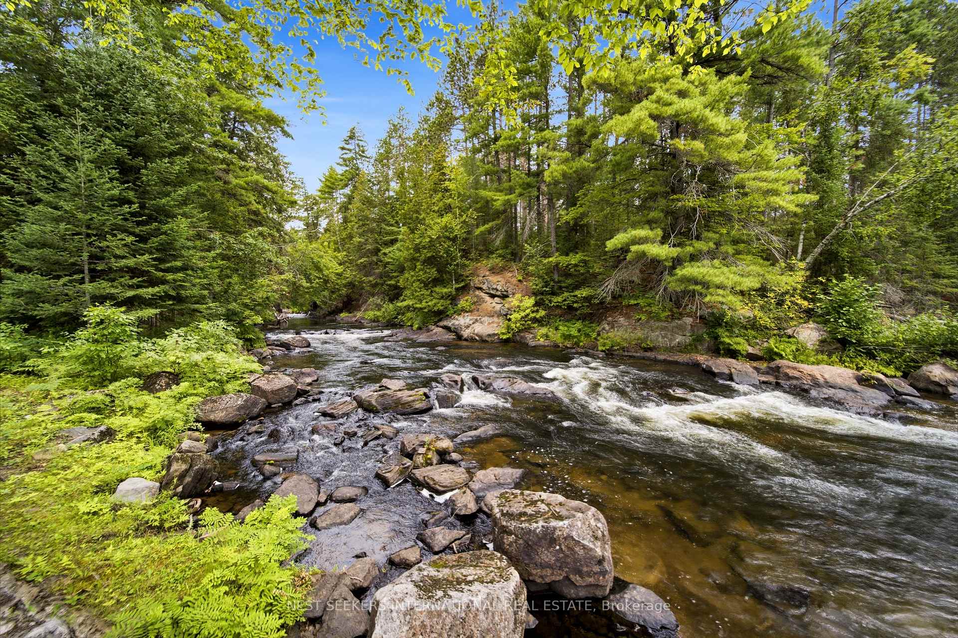 Photo 6 of 7953 Highway 28, North Kawartha — HOMEH