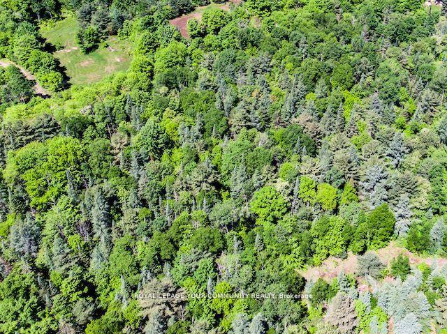 Photo 2 of 1219 Uffington Road, Bracebridge, Draper — HOMEH