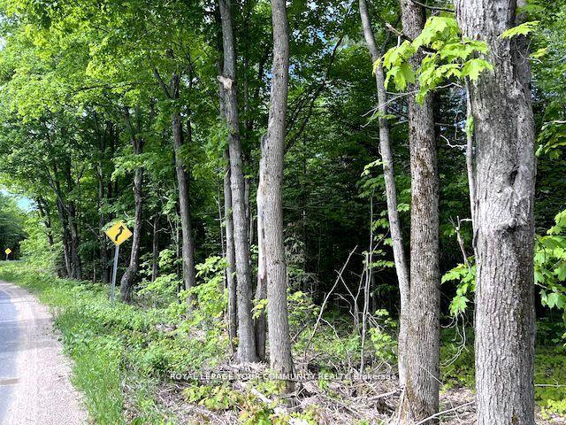 Photo 6 of 1219 Uffington Road, Bracebridge, Draper — HOMEH