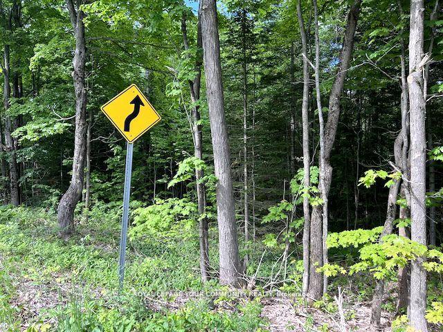 Photo 9 of 1219 Uffington Road, Bracebridge, Draper — HOMEH