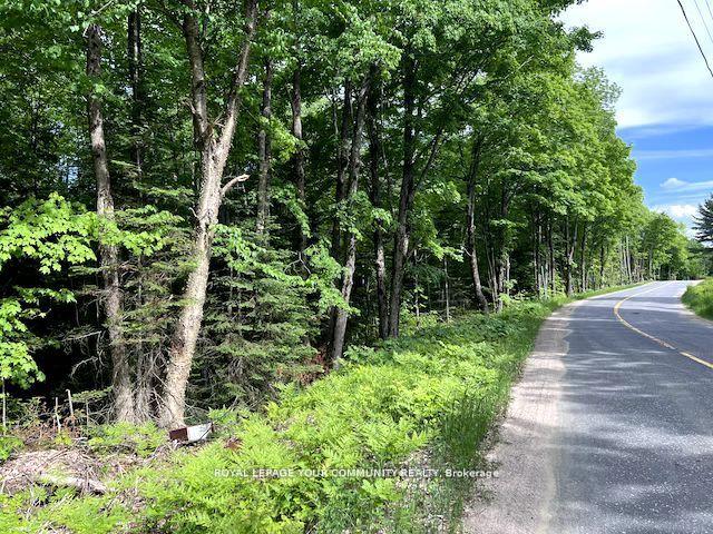 Photo 10 of 1219 Uffington Road, Bracebridge, Draper — HOMEH