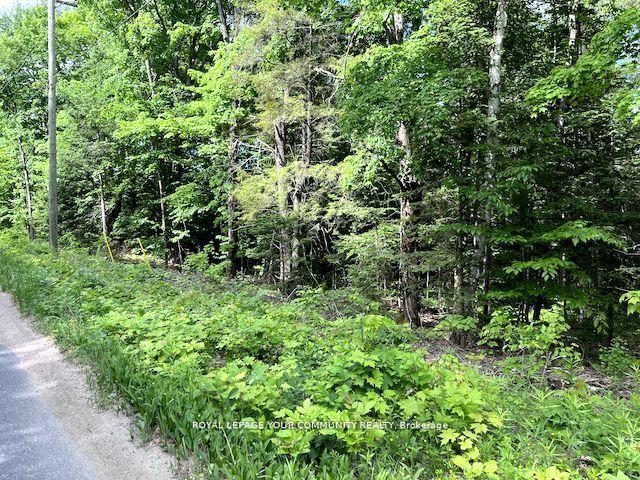 Photo 12 of 1219 Uffington Road, Bracebridge, Draper — HOMEH