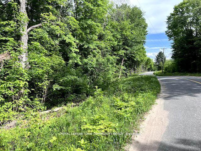 Photo 13 of 1219 Uffington Road, Bracebridge, Draper — HOMEH