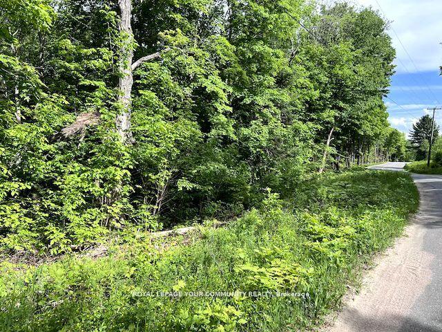 Photo 14 of 1219 Uffington Road, Bracebridge, Draper — HOMEH
