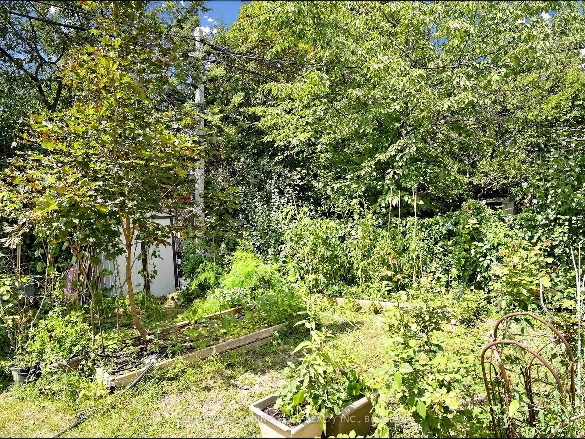 Photo 30 of 17 Tinton Crescent, Etobicoke, Mount Olive-Silverstone-Jamestown — HOMEH