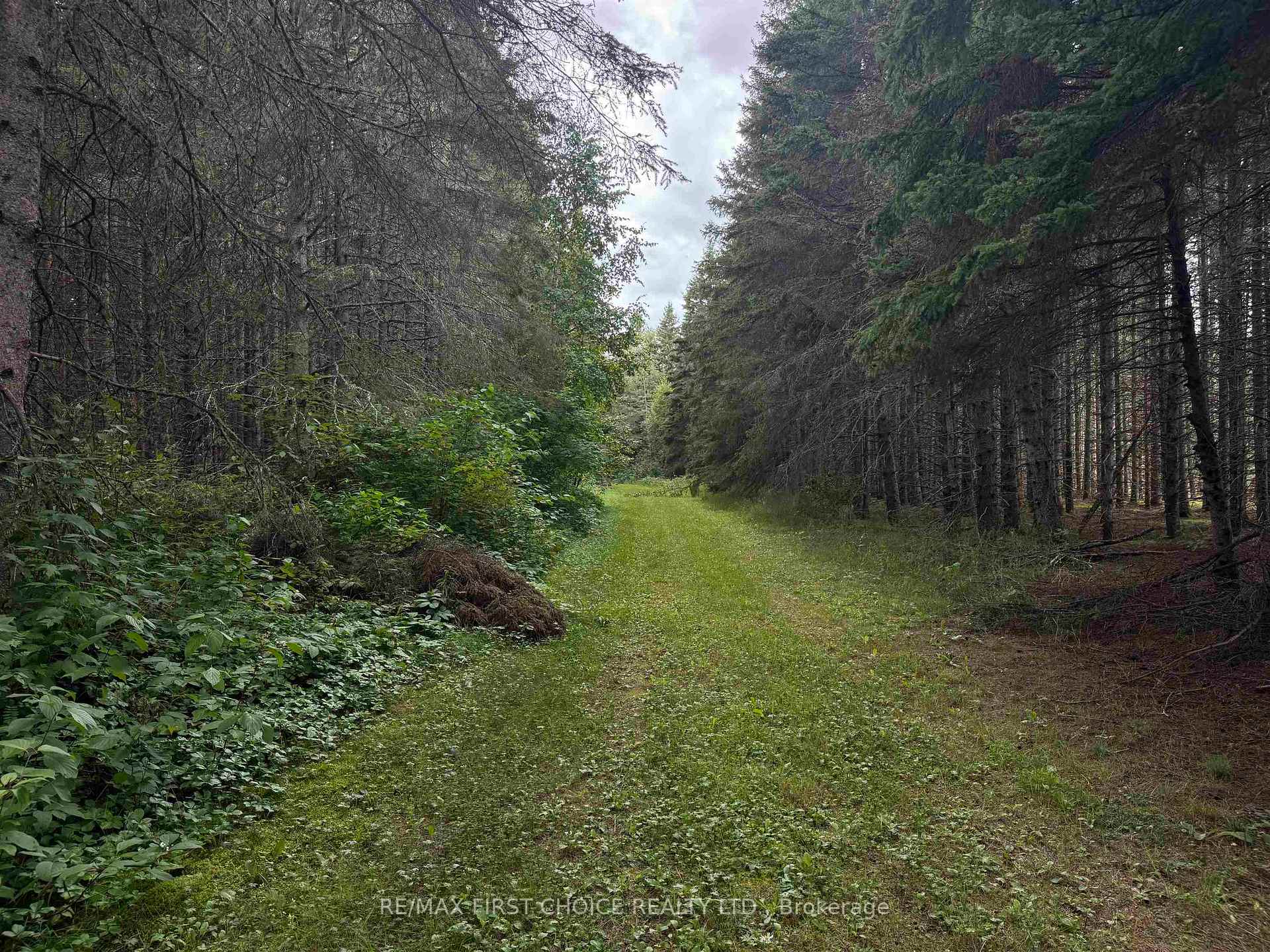 Photo 15 of LT 11 + 12 CON 1 Dorion, Thunder Bay Remote Area, TB-59 — HOMEH