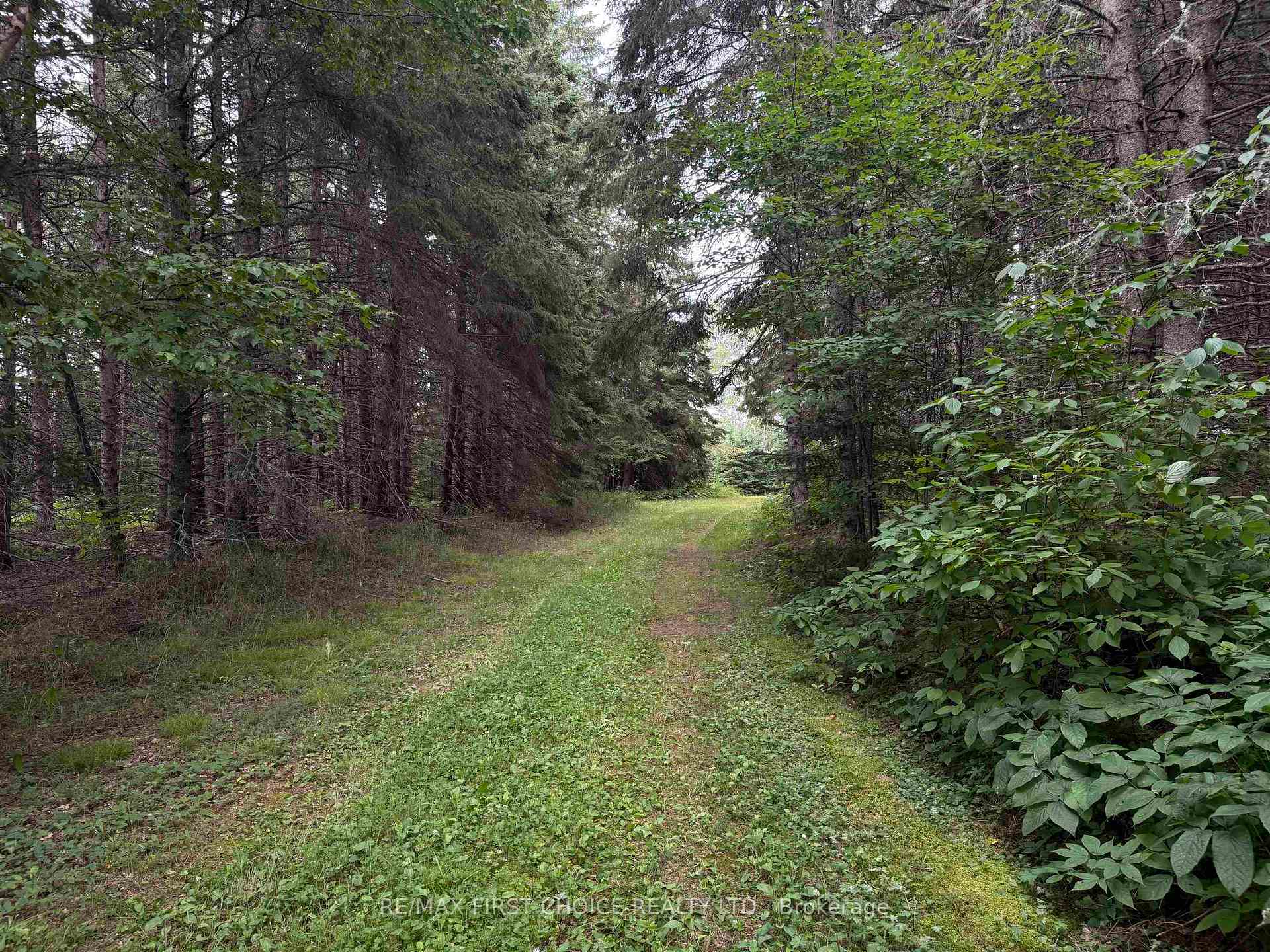 Photo 19 of LT 11 + 12 CON 1 Dorion, Thunder Bay Remote Area, TB-59 — HOMEH