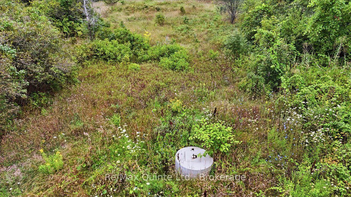 Photo 4 of 625 Babylon Road, Prince Edward County, Sophiasburg Ward — HOMEH