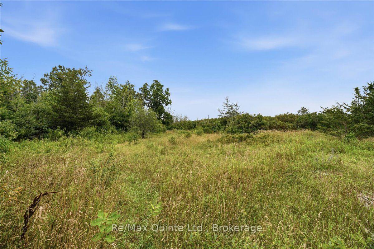 Photo 18 of 625 Babylon Road, Prince Edward County, Sophiasburg Ward — HOMEH
