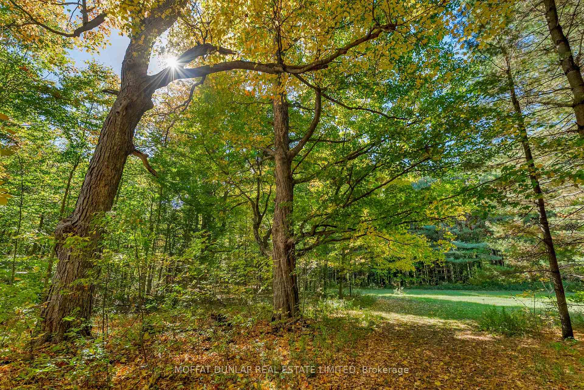 Photo 26 of 15910 Mississauga Road, Caledon, Rural Caledon — HOMEH