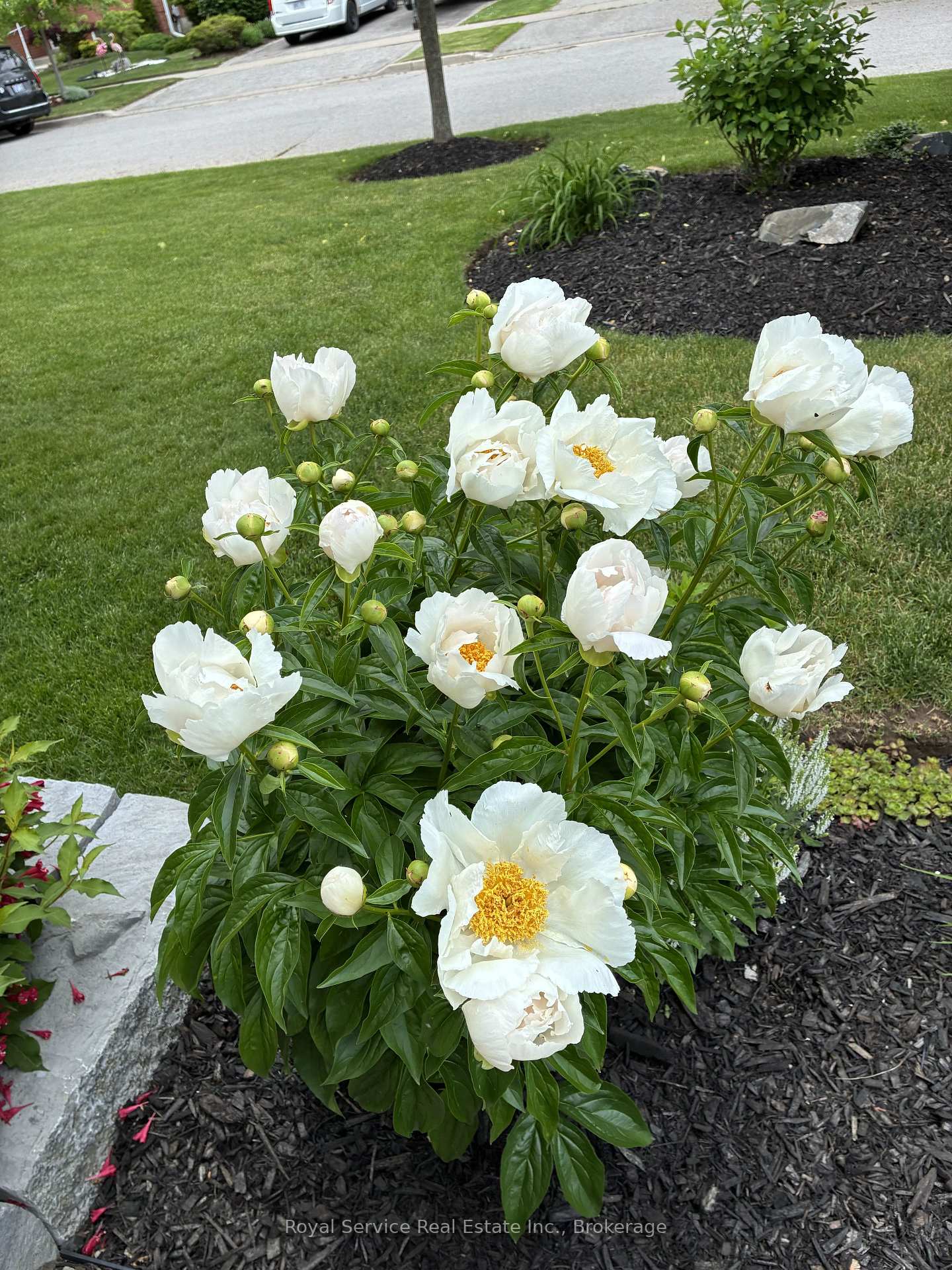 Photo 44 of 62 Rafton Street, Clarington, Newcastle — HOMEH