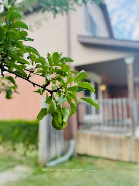 Photo 9 of 56 Edward Street, Mapleton, Rural Mapleton — HOMEH