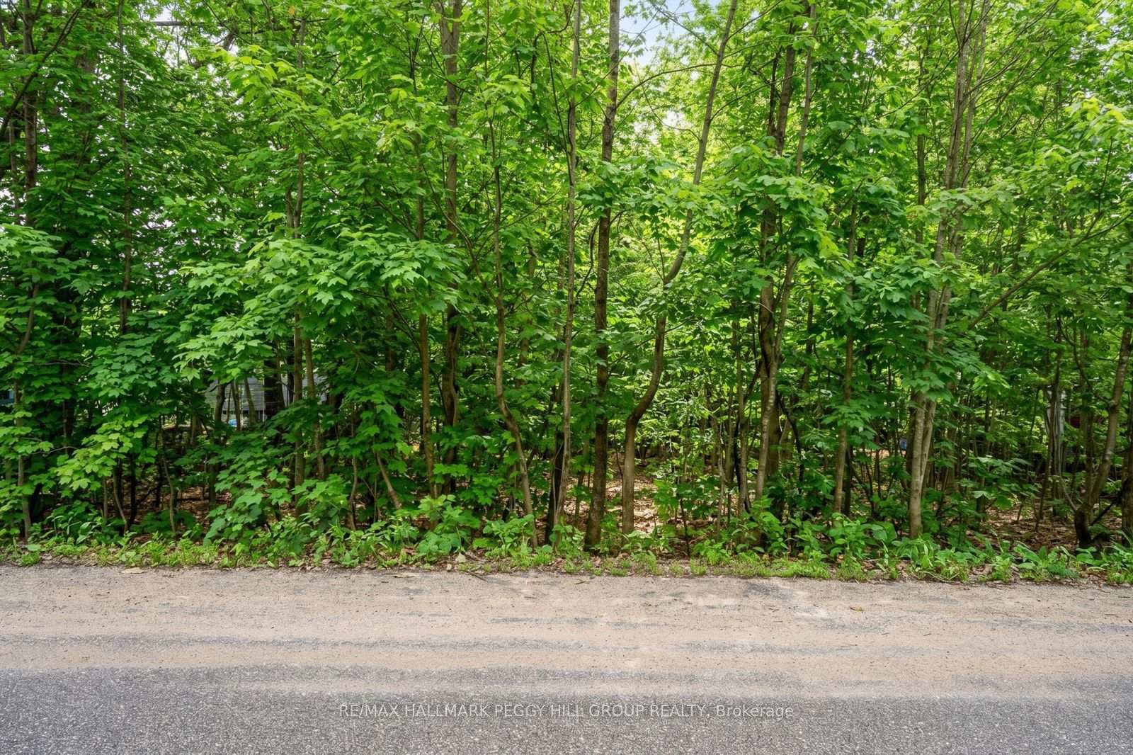 Photo 3 of 17 Valleyview Drive, Oro-Medonte, Rural Oro-Medonte — HOMEH