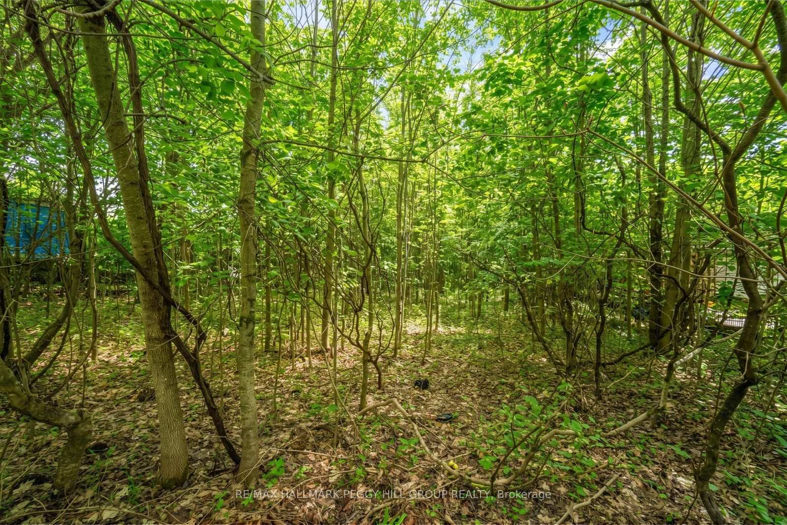 Photo 4 of 17 Valleyview Drive, Oro-Medonte, Rural Oro-Medonte — HOMEH