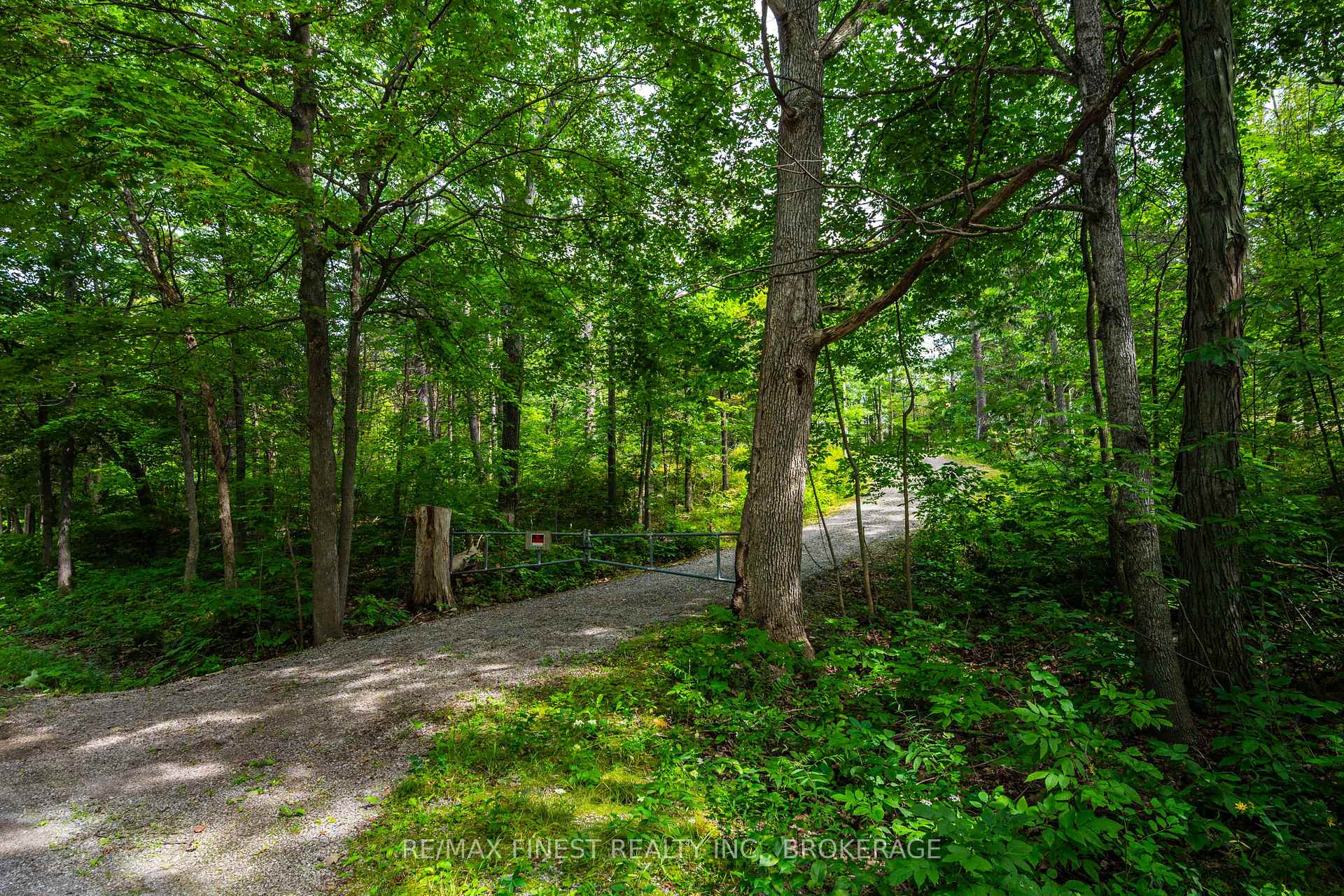 Photo of 169 Old River Road