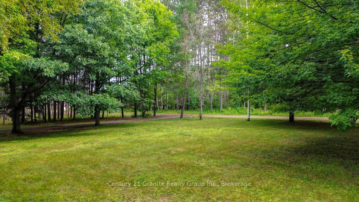 Photo 34 of 32 Firehall Lane, Hastings Highlands, Herschel Ward — HOMEH