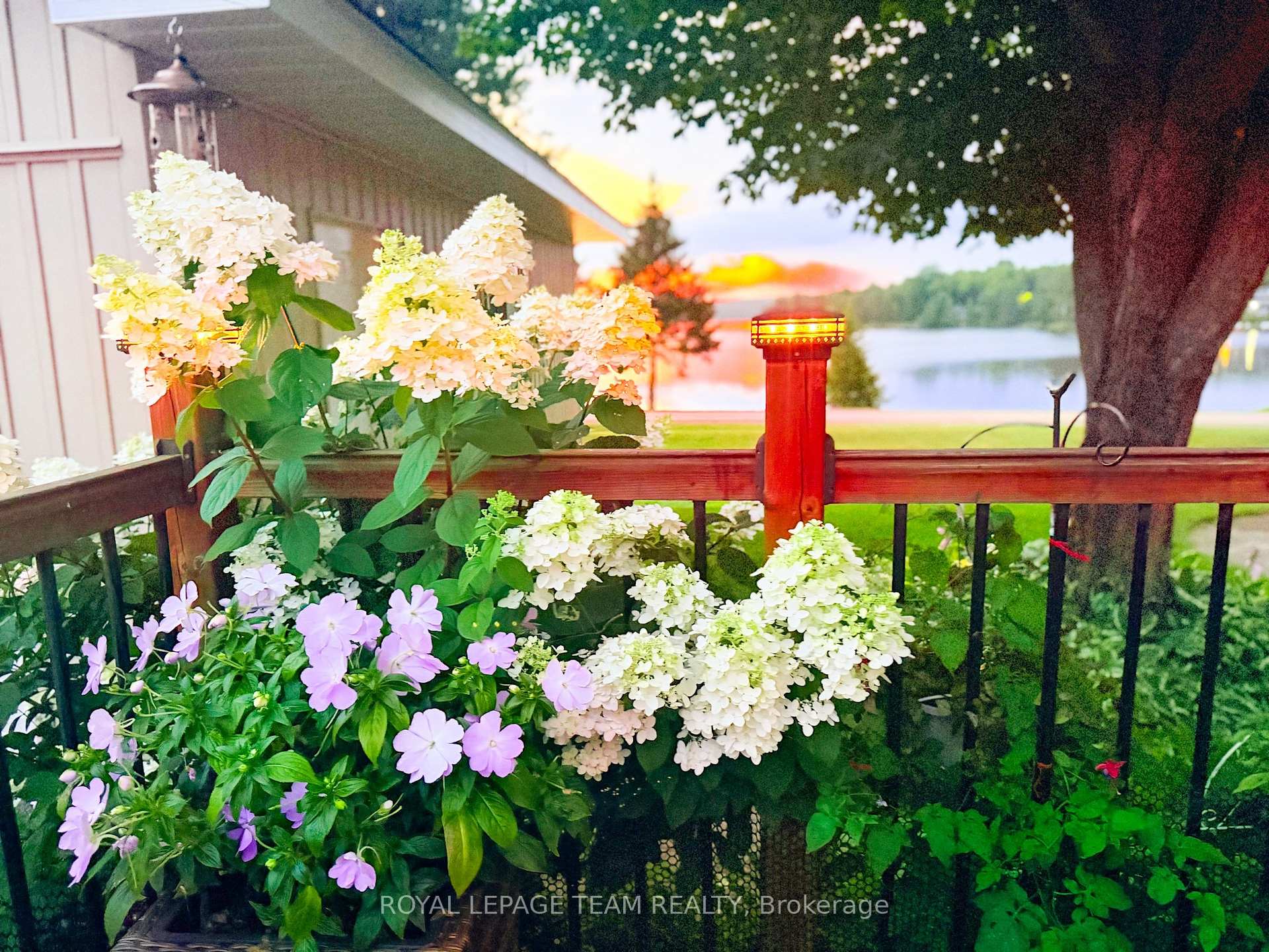 Photo 45 of 76 Lake Street, South Algonquin — HOMEH
