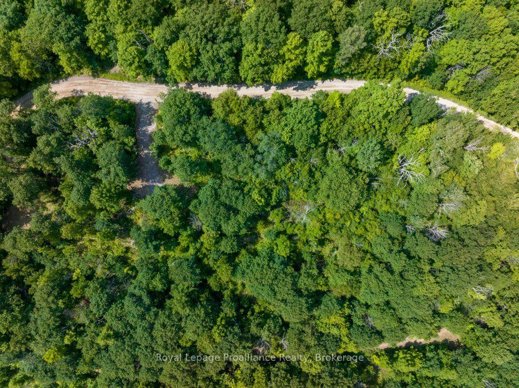 Photo 6 of Unit Lot 1, 1412 Baker Valley Road, Central Frontenac, Frontenac Centre — HOMEH