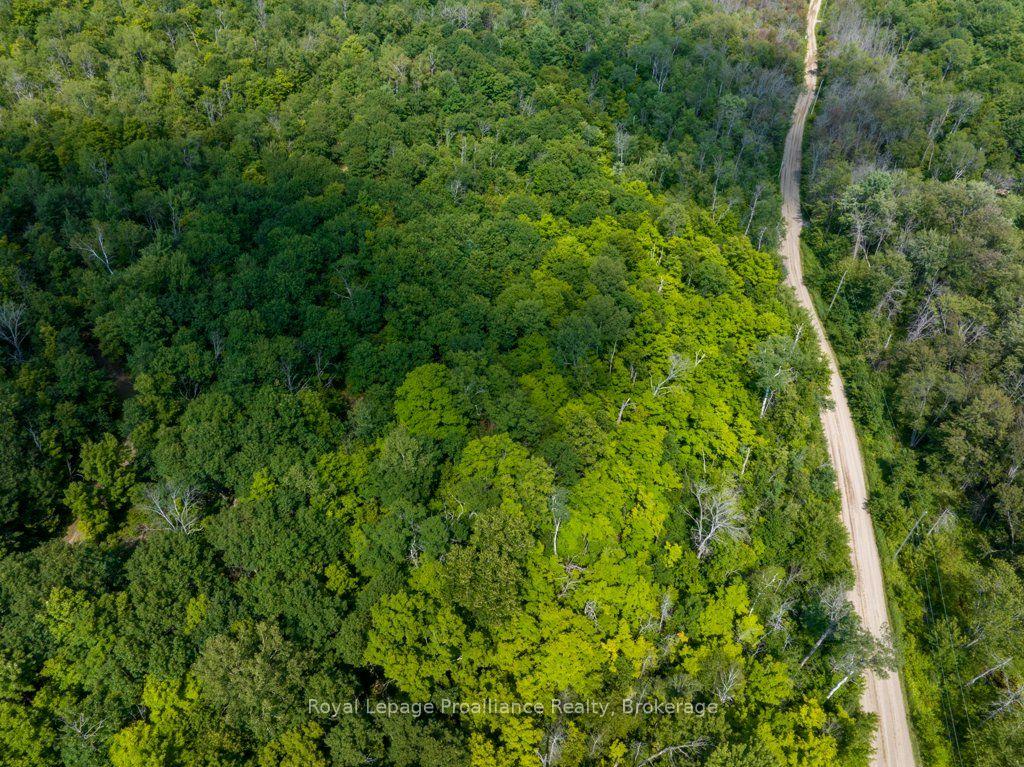 Photo 10 of Unit Lot 1, 1412 Baker Valley Road, Central Frontenac, Frontenac Centre — HOMEH
